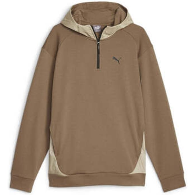 Puma Rad/cal Dk Hoodie Bruin S Man