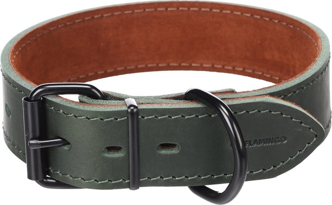 Hond Halsband Montana Groen L 45-55cm 40mm