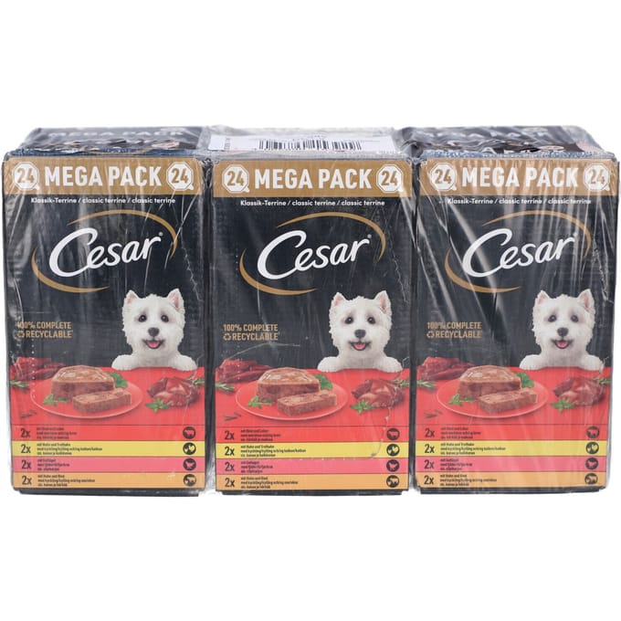 Cesar Mega Pack - Klassieke terrines voor volwassen honden 24x150 Voeding