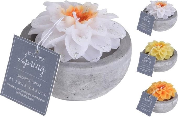 Kaars - bloemkaarsen in cementen Pot per 3 stuks - kaars - decoratie woonkamer