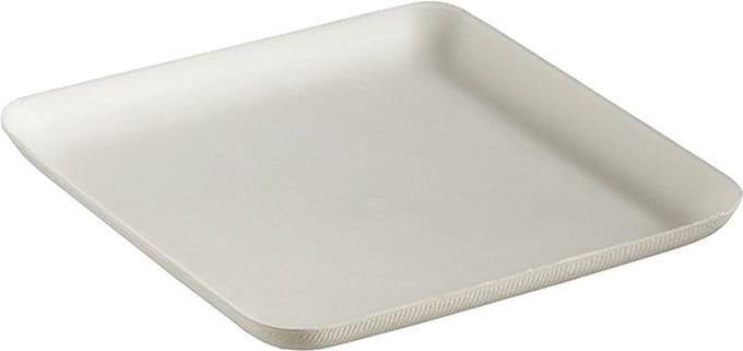 Bagastro Suikerriet Bord Vierkant 160 x 160mm - 40 stuks