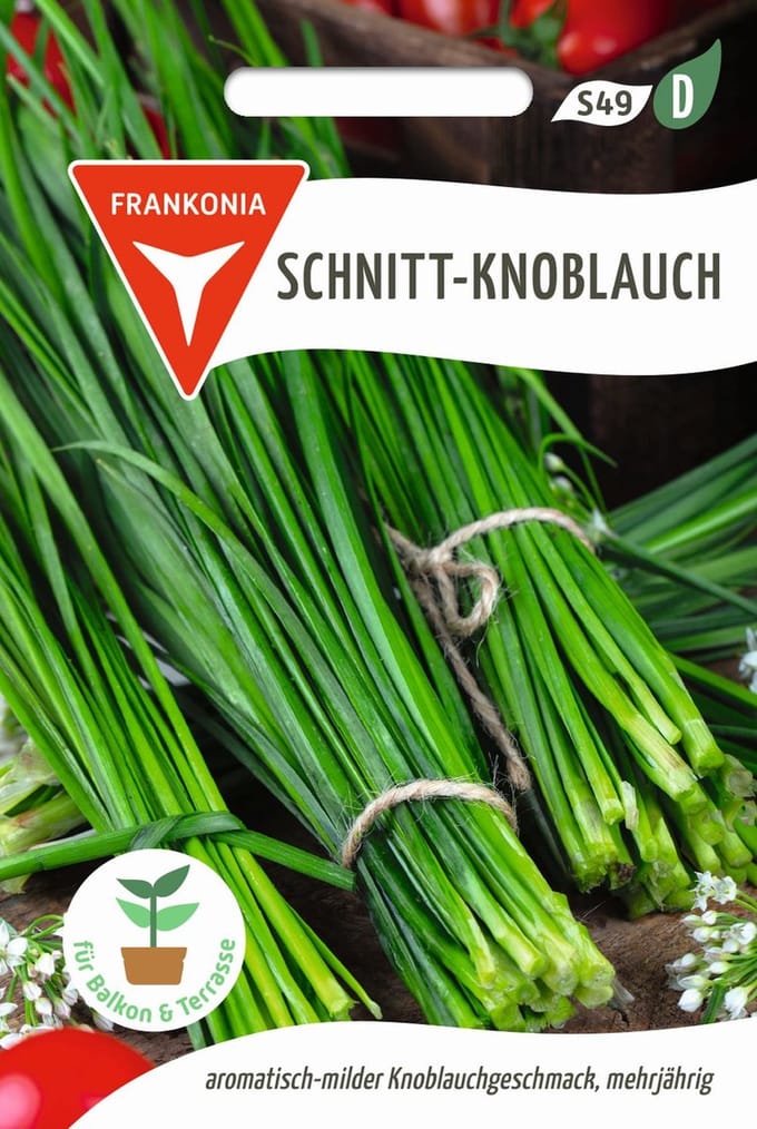 Bieslook (knoflookbieslook, prei smaakt naar knoflook) - kruidenzaden, specerijenzaden