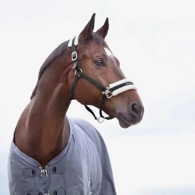 Halster voor paarden Horze Howard