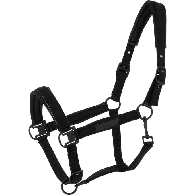 Halster voor paarden Equithème Pearl