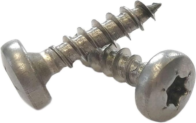 RVS Schroeven Torx 5x25 mm Panhead - 500 Stuks Houtbevestiging