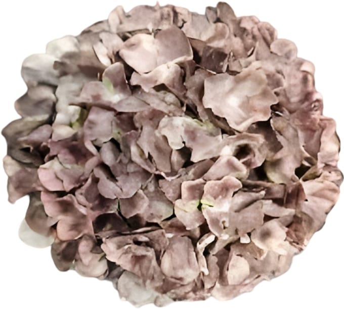 Kunst hortensia tak bruin 92 cm Buitengewoon de Boet