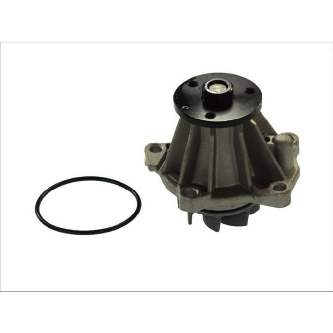 Waterpomp THERMOTEC D1G033TT