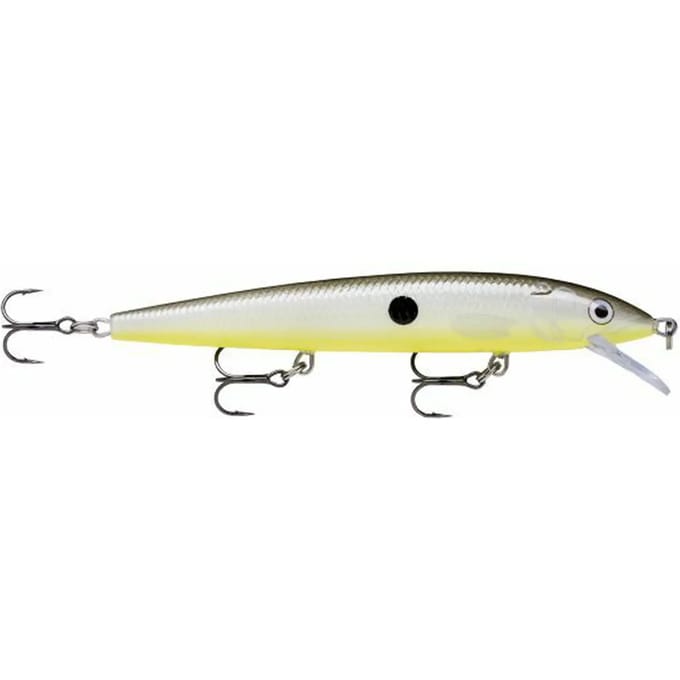 Ophangen van kunstaas Rapala husky jerk 12 cm