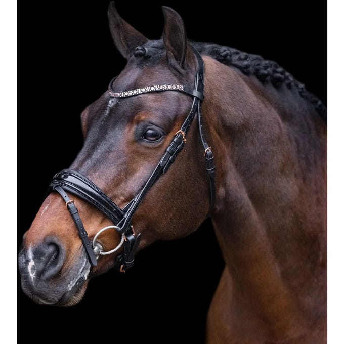 Hoofdstellen Imperial Riding Olympia