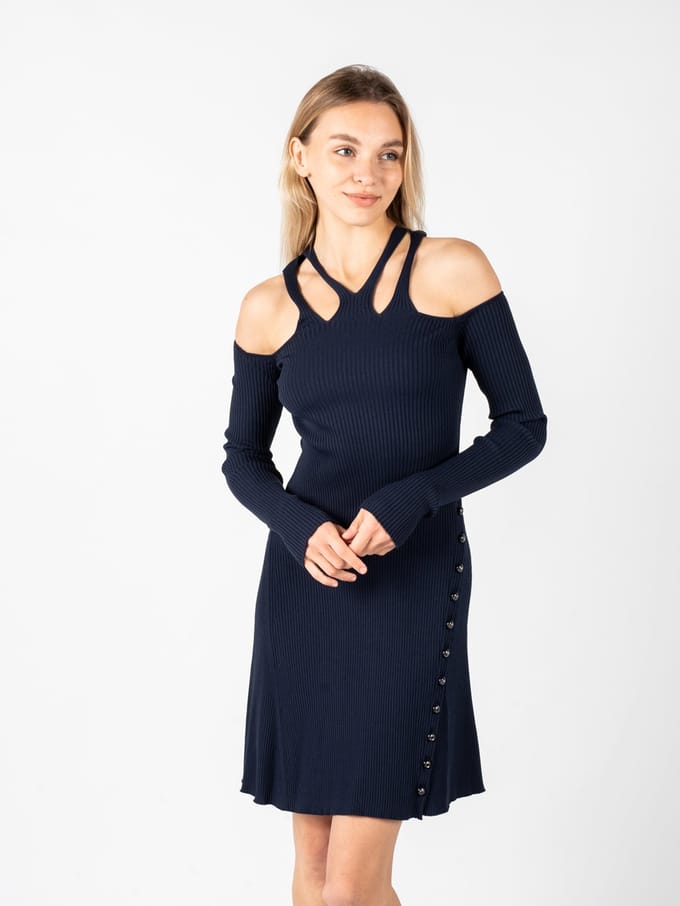 Pinko jurk Orihuela Vrouw blauw