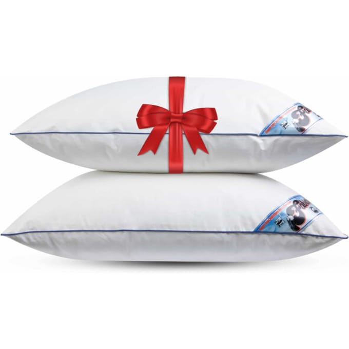Fabiola - Zacht Halfdons Hoofdkussen - Set van 2 stuks - DownPass gecertificeerde Dons & Veren - Ergonomisch - 60x70cm