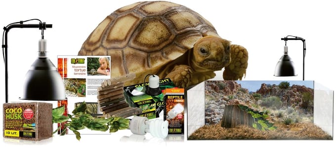 Exo Terra EX kit terrarium landschildpad