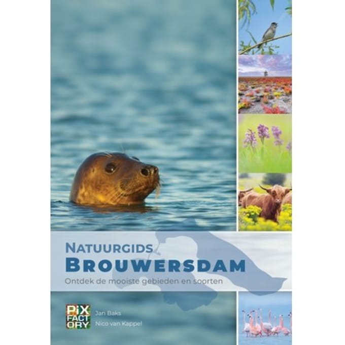 Natuurgids Brouwersdam - Natuurgidsen - Jan Baks