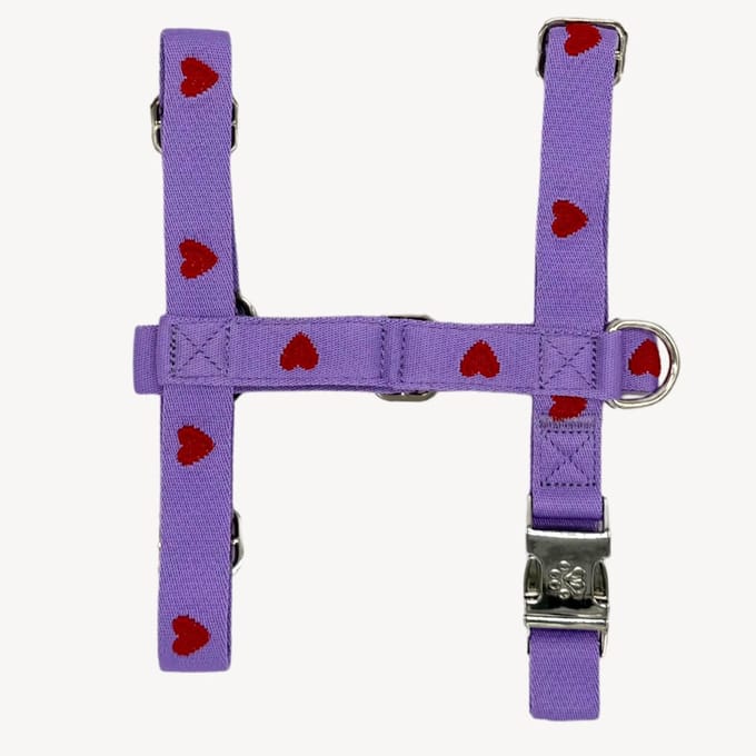 Hearts - Hartjes - Paars - Tuigje / Harnas Hond - L