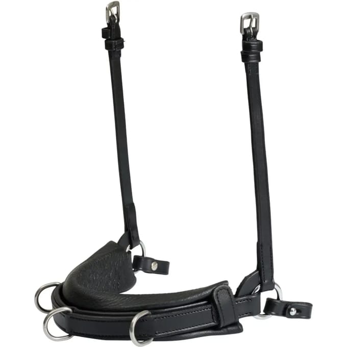Paardenbox Catago Gentle