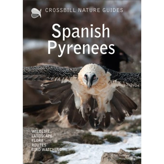 Crossbill Nature Guide Spanish Pyrenees - Crossbill Guides - Dirk Hilbers