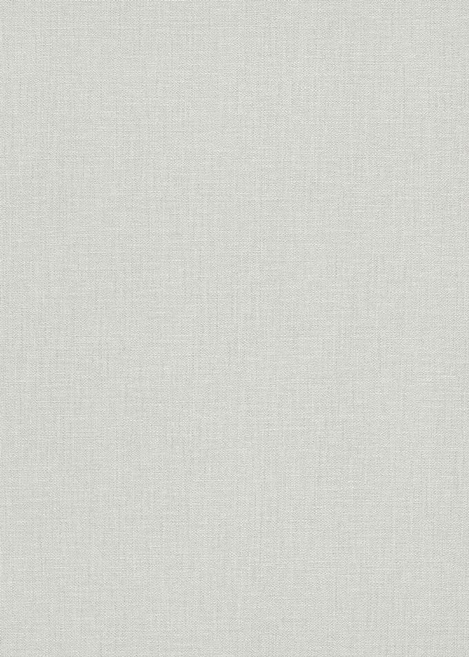 Erismann Vinylbehang 10450-31 - Coulours & Textures - Wit - 53cm x 10.05m
