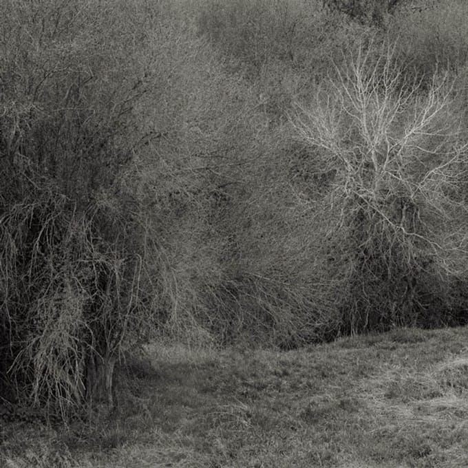 K. Leimer - Atrophies For Piano (LP)