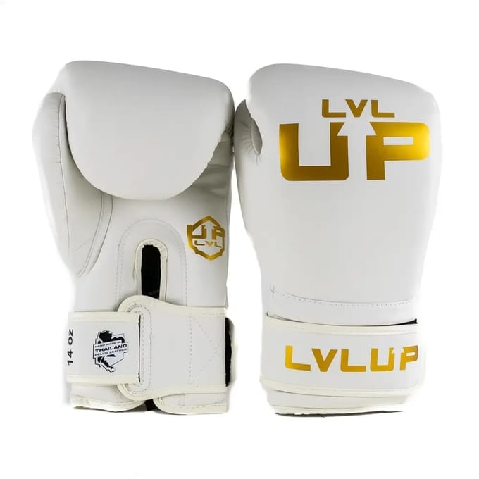 Bokshandschoenen Lvl Up UP BG 3