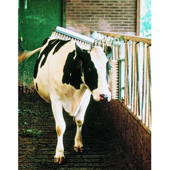 Excellent veeborstel compleet - Solide veerophanging - Elke richting beweegbaar - Horizontale borstel