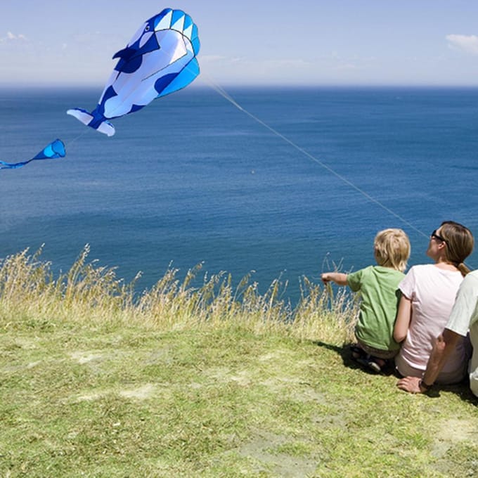 3D-vlieger Enorme frameloze zachte parafoil gigantische walvisvlieger Blue & White gray
