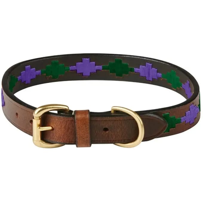 Leren halsband Weatherbeeta Polo