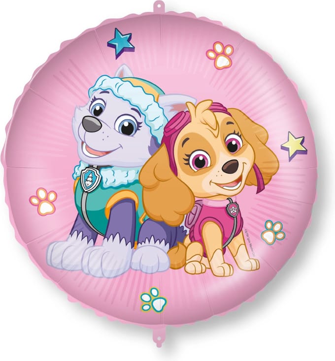 Vegaoo - Skye en Everest folieballon 46 cm