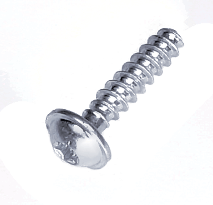Screw