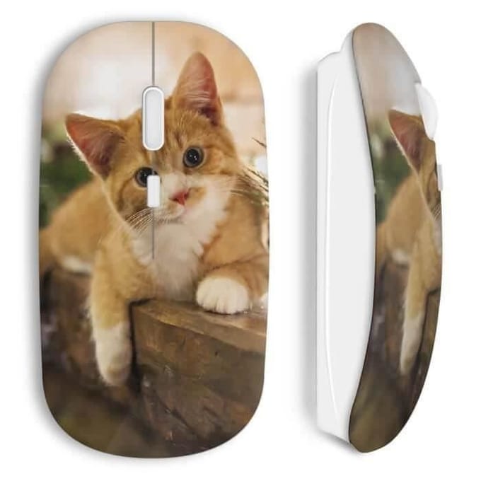 Souris Sans Fil Chat minion