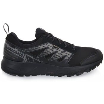 Hardloopschoenen Salomon Wander Gtx W