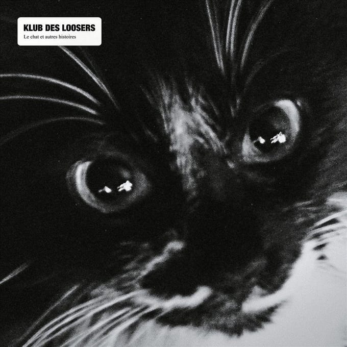 Le Chat Et Les Autres Histoires