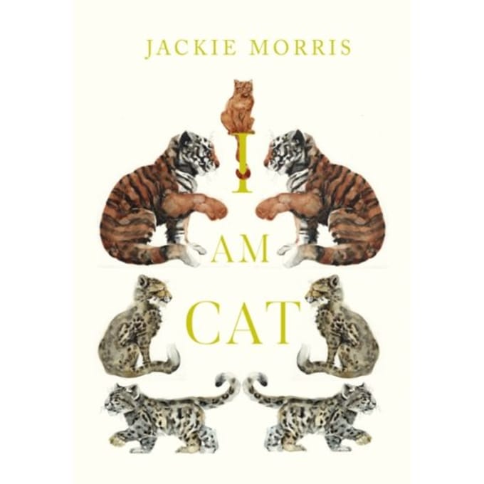 I Am Cat - Jackie Morris