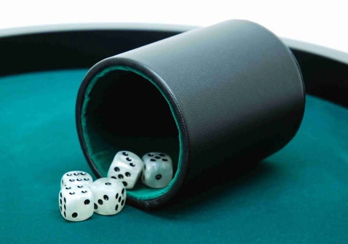 Hot Games Dobbelbeker Pro zw.Kunstleder 10x8cm..