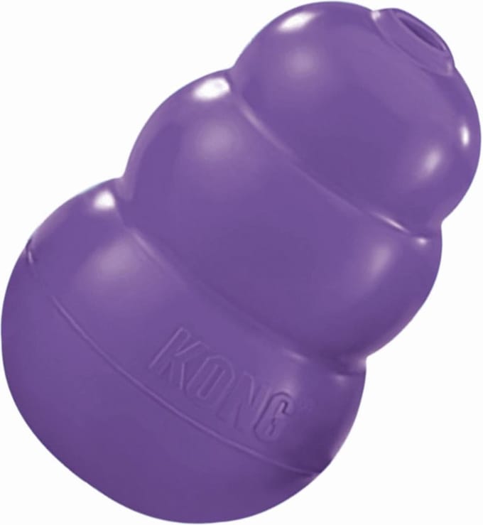 Kong senior - Medium - 8 cm - Paars - 1 st