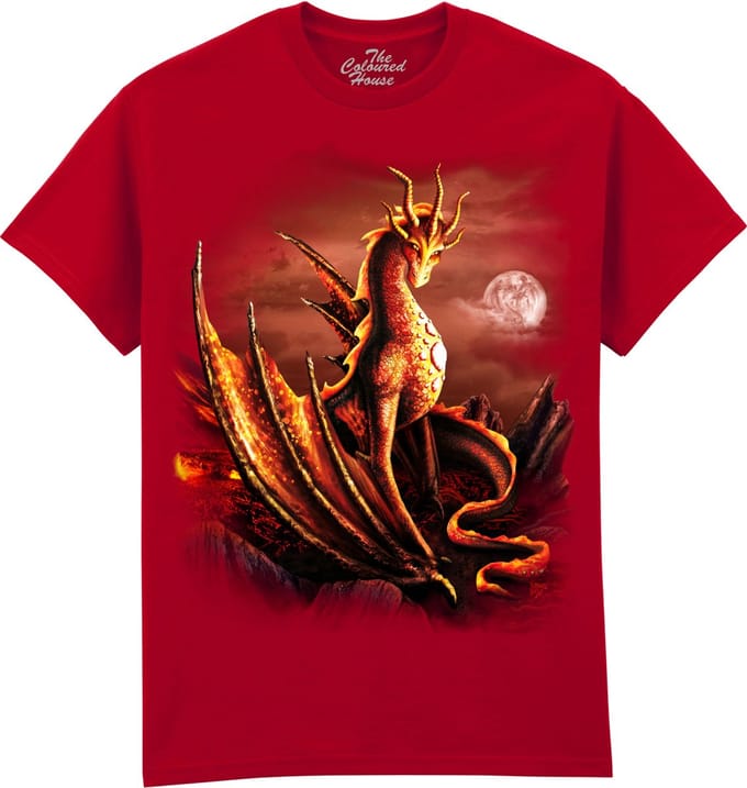Draak Alessa Dragon The Coloured House T-shirt M