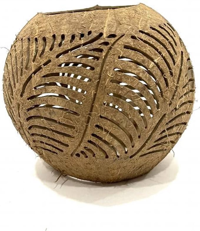 Coconut leaf