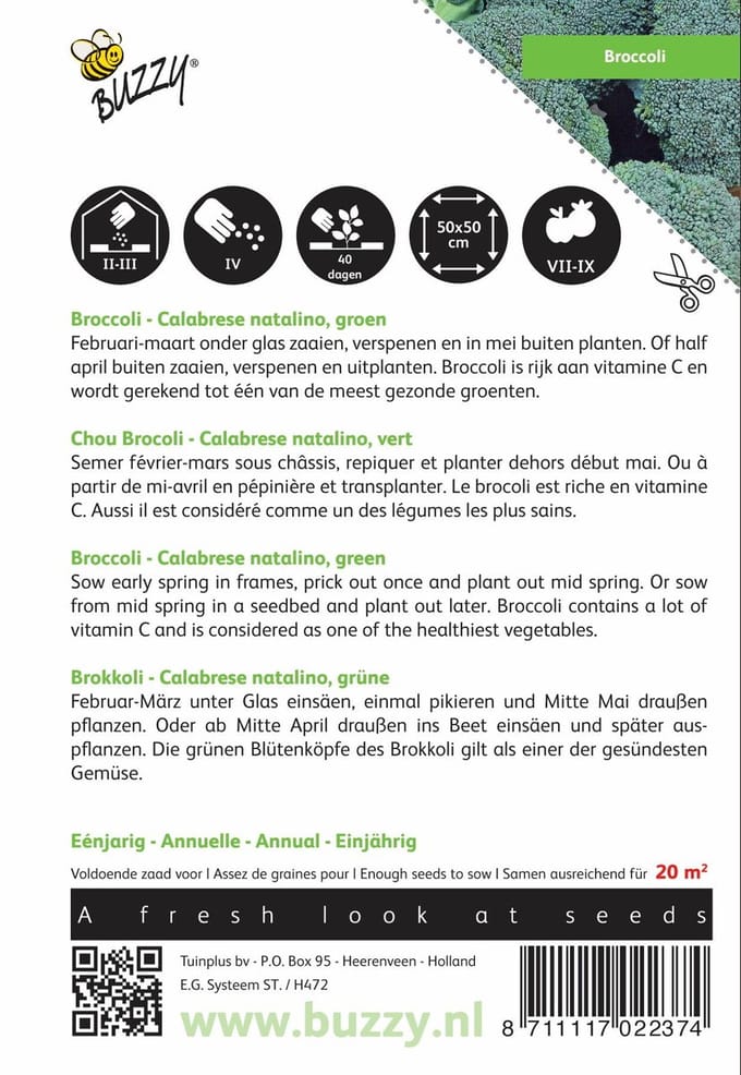 Buzzy® Broccoli Calabrese natalino, groen