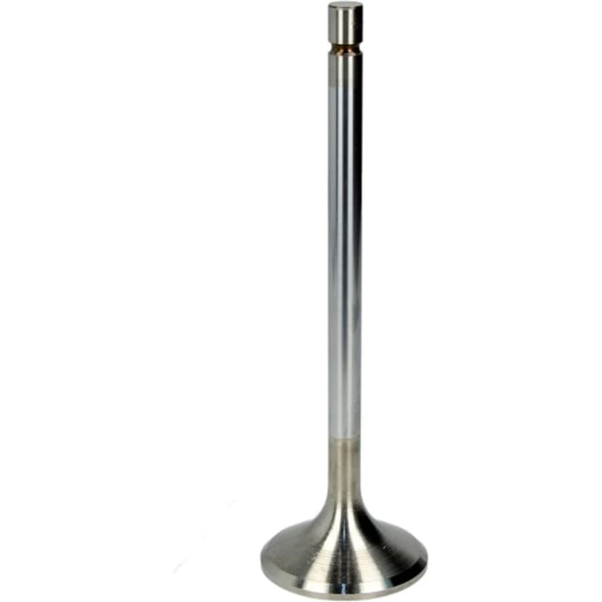 Trw Uitlaatklep KOLBENSCHMIDT 25250