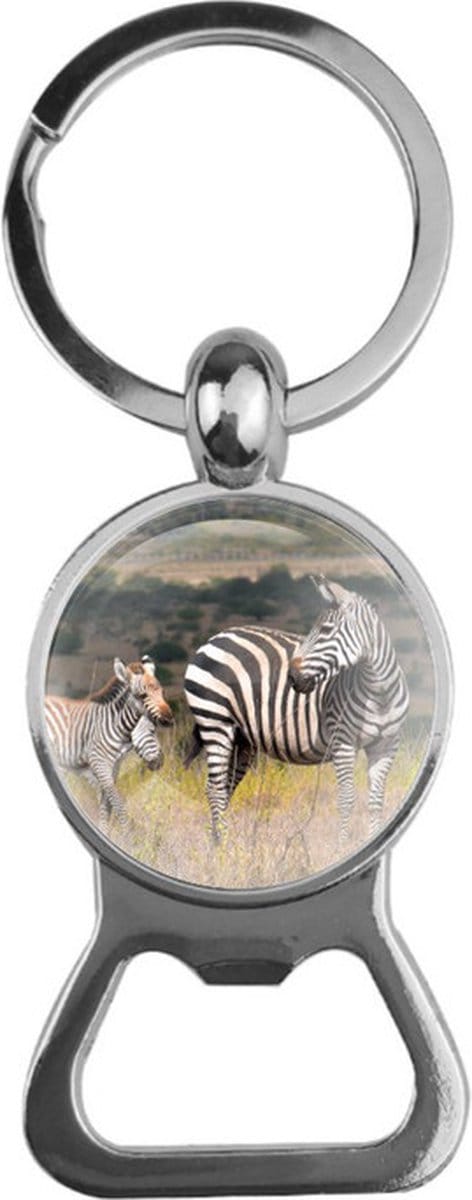 Bieropener Glas - Zebras