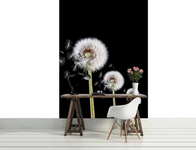 Dandelion Photo Wallcovering
