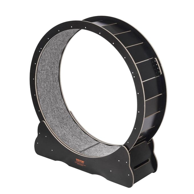 Roue d'exercice pour chat 43,3  Grande roue de tapis roulant pour chat pour chats d'intérieur Noir