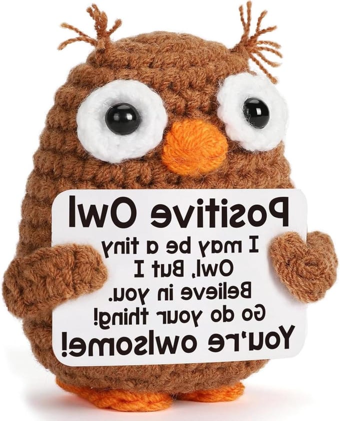 Allecto Plus - Positieve uil met schild cadeau voor alle gelegenheden - Creatief en liefdevol geschenk.