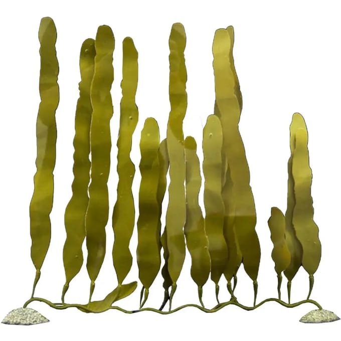 Kunstplant aquariumdecoratie Aqua Della Caulerpa