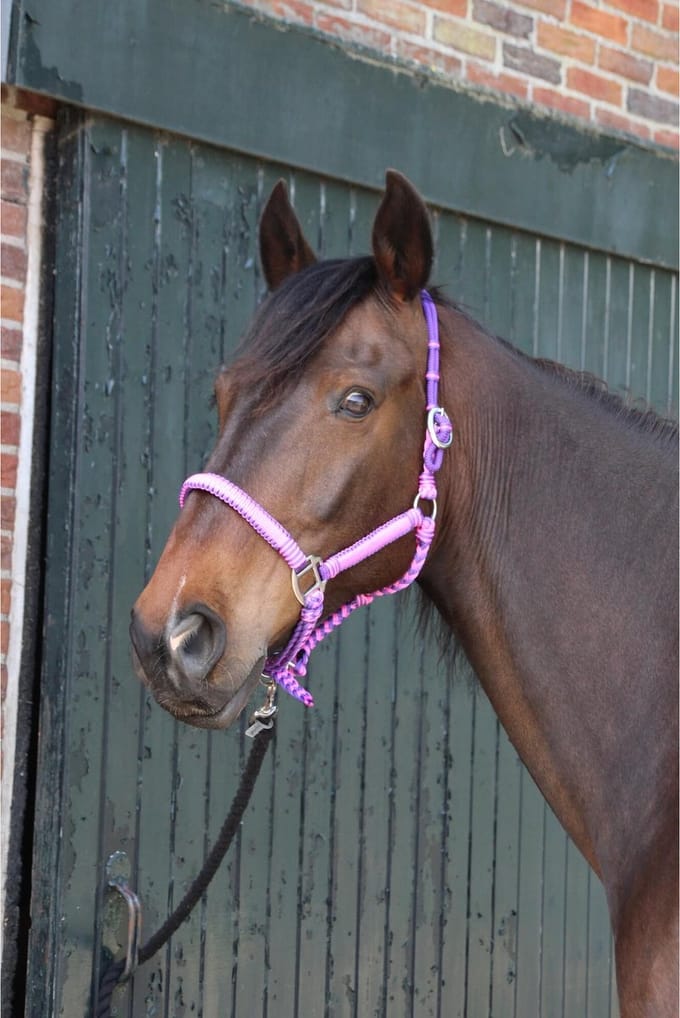 MHS Halster Braided Shet Paars / Roze