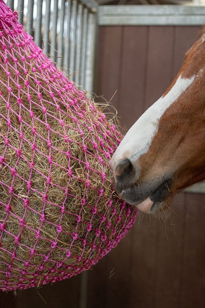 Epplejeck Hooinet Epplejeck Slowfeed Roze