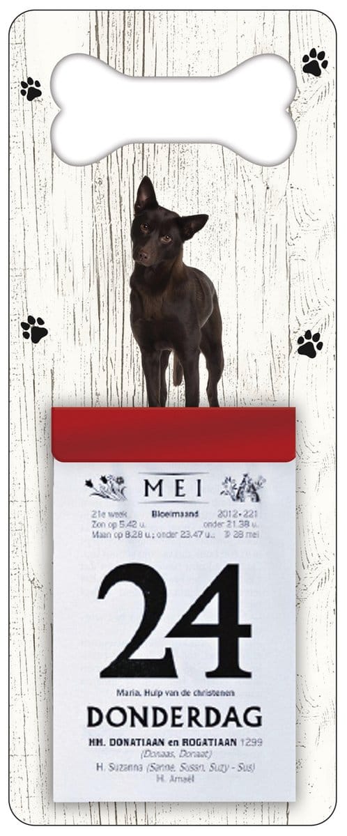 Scheurkalender 2027 Hond: Austrailian Celpie