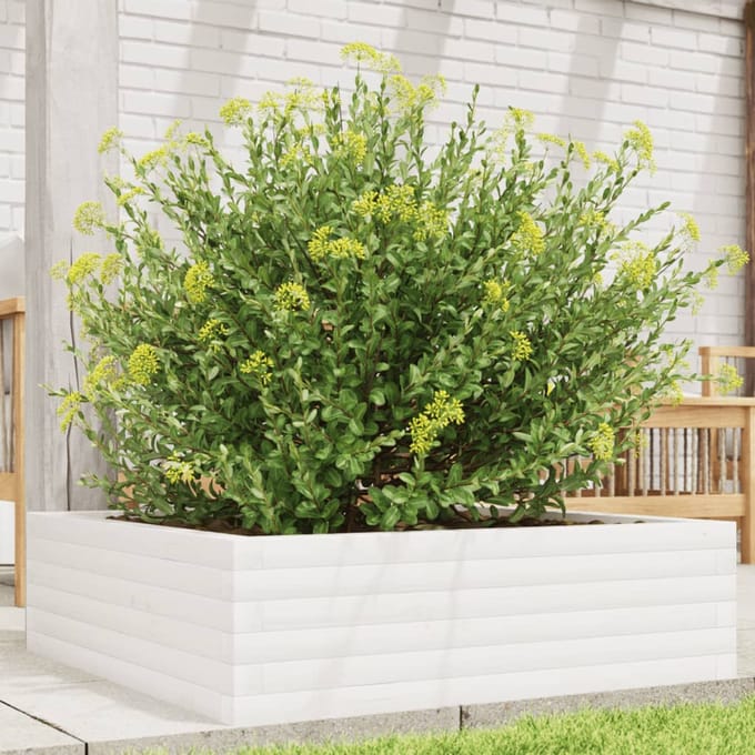 vidaXL - Plantenbak - 80x80x23 - cm - massief - grenenhout - wit