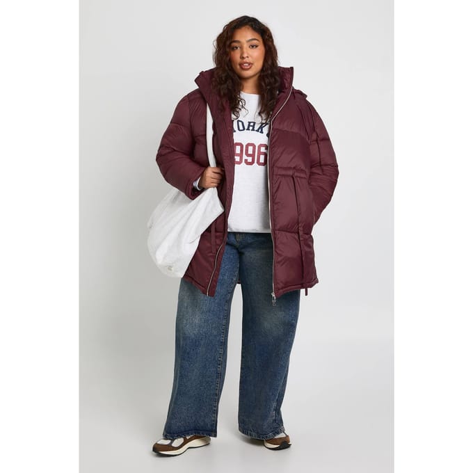 boohoo Dames PLUS MET CAPUCHON, GETAILLEERDE TAILLE PUFFERJACHT | Chocolate | Maat: 18