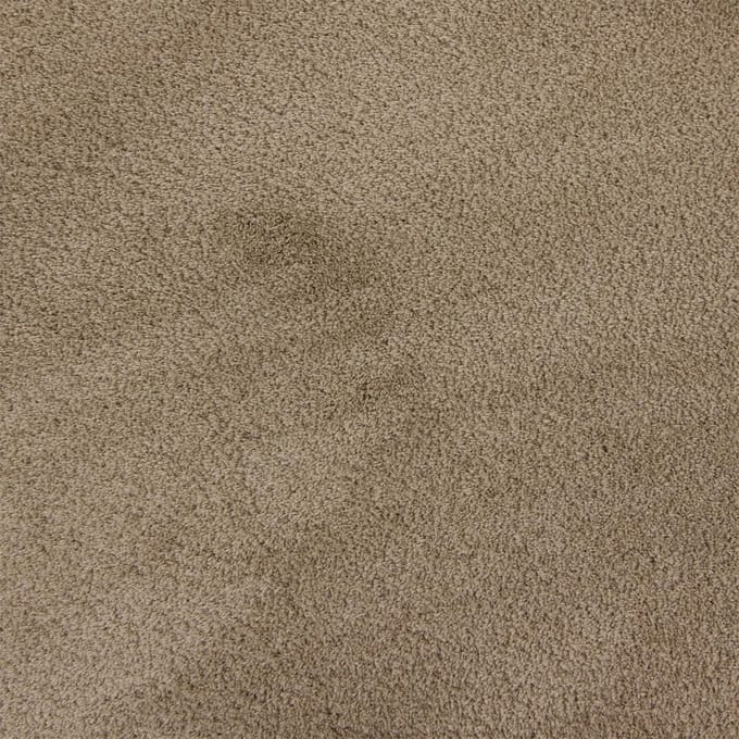 Vloerkleed Xilento Silky Soft Dessert | 170 x 230 cm