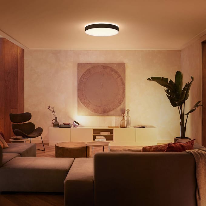 Philips Hue Enrave plafondlamp - warm tot koelwit licht - zwart - 55cm - 1 dimmer switch